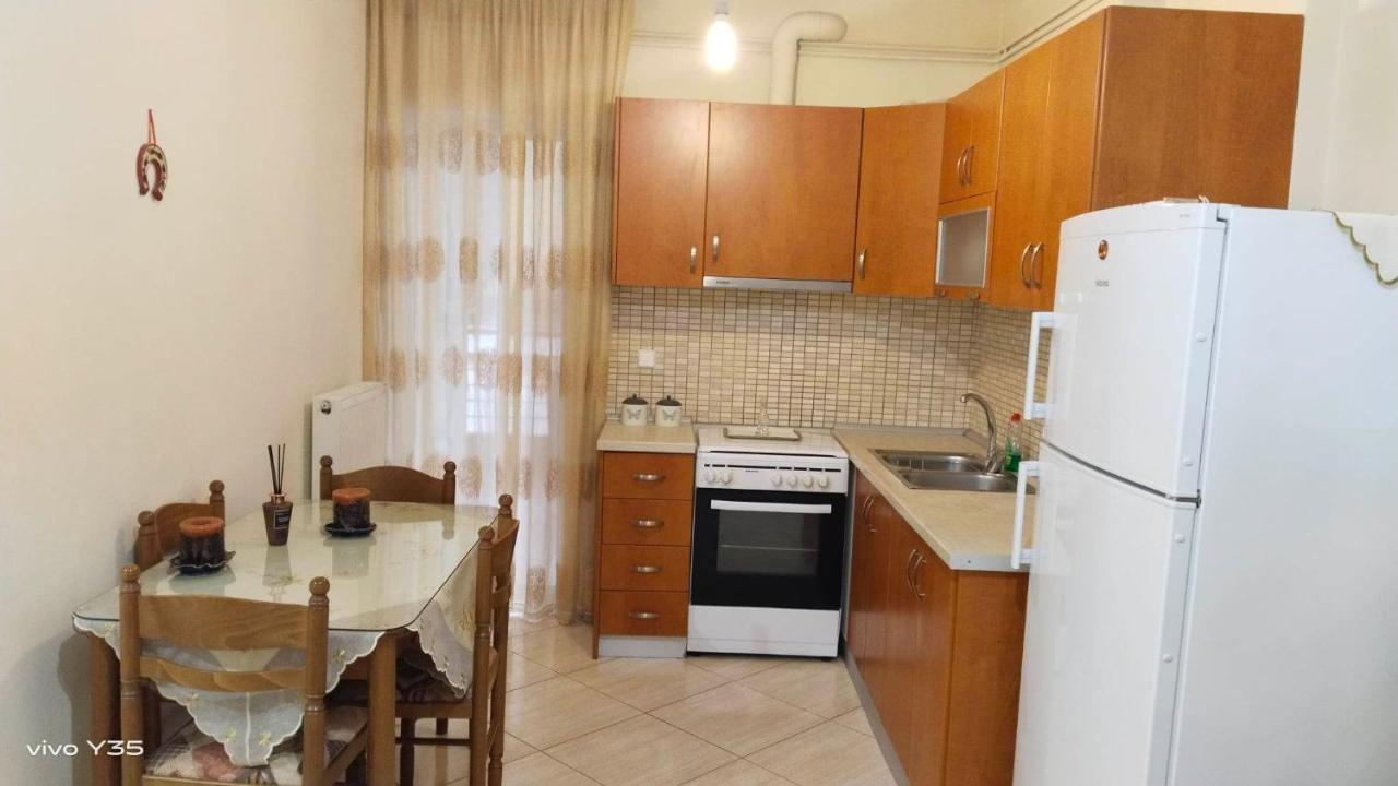 Apartamento Ομορφο Διαμερισμα Στο Κεντρο Της Πολης Με Παρκιν Tríkala Exterior foto